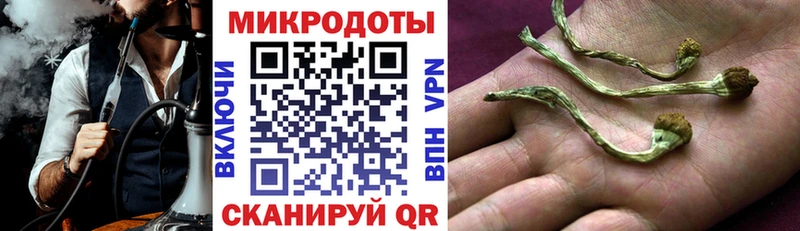 блэк спрут сайт  Белоярский  Псилоцибиновые грибы MAGIC MUSHROOMS  что такое  